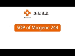 POCT دستگاه PCR کمی در زمان واقعی 2 / 4 کانال 24 دستگاه تشخیص مولکولی خوب