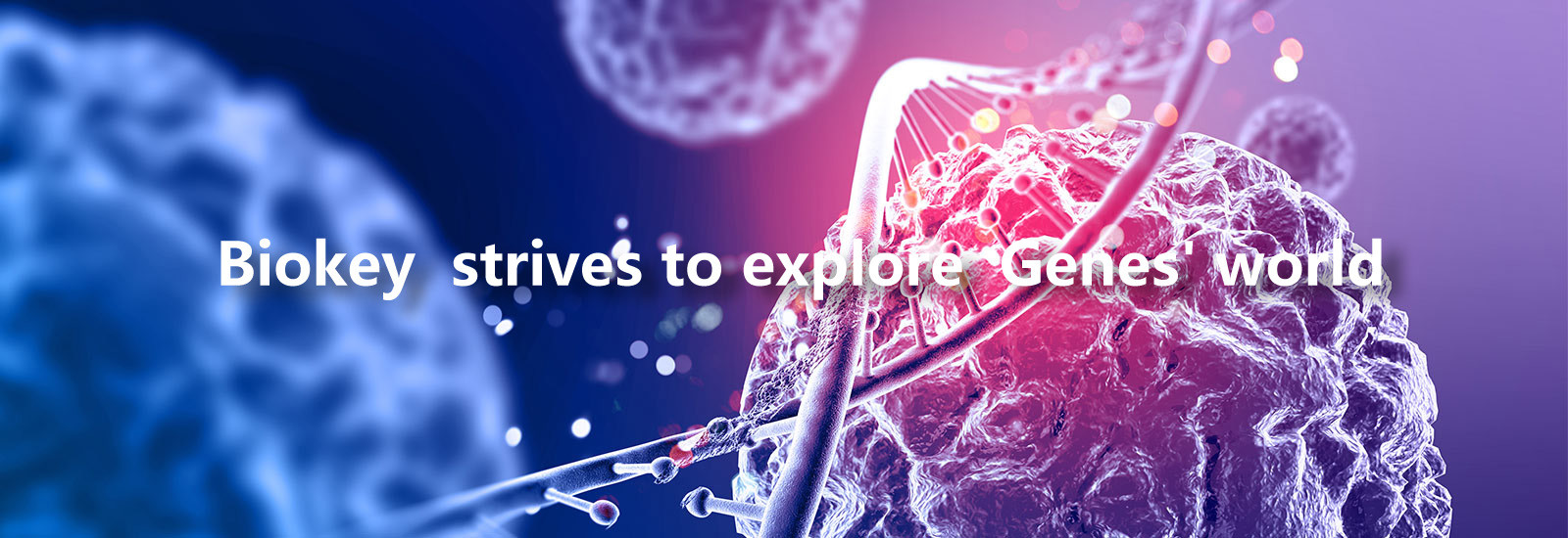 کیفیت دستگاه RT qPCR کارخانه