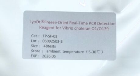 LyoDt® Reagent تشخیص PCR در زمان واقعی برای ویبریو کولرا O1/O139 - بدون نیاز به زنجیره سرد و آزمایش یکبار قبل از توزیع