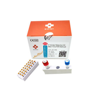 نمونه آب کیت تست آبزی پروری ویبریو هاروی اسید نوکلئیک Real Time PCR