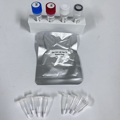 کیت تشخیص PCR در زمان واقعی بافت های میگو Vpa Vibrio Parahaemolyticus