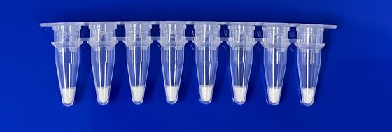 کیت تشخیص PCR در زمان واقعی برای مواد تشکیل دهنده خوک در نمونه مواد غذایی