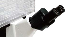 میکروسکوپ بیولوژیکی معکوس B60iL میکروسکوپ ویژه برای مشاهده کارخانه سلول